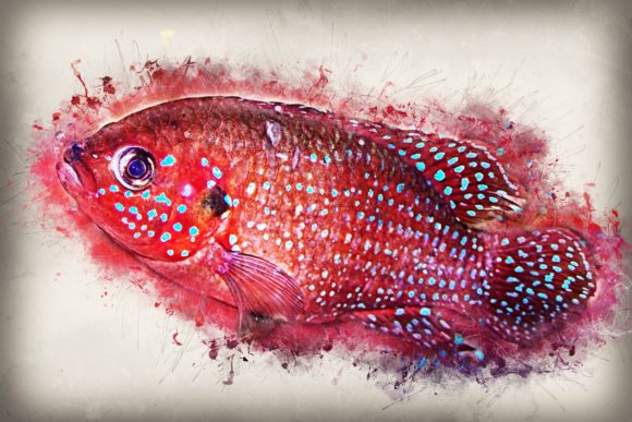 Download Fish Printables 7 Formats 300dpi Pack 05 - Pack Collection