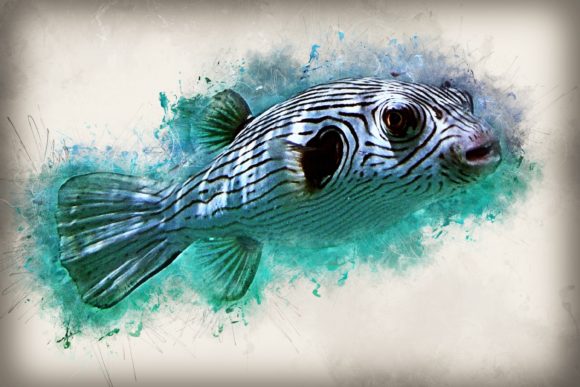 Download Fish Printables 7 Formats 300dpi Pack 10 - Pack Collection