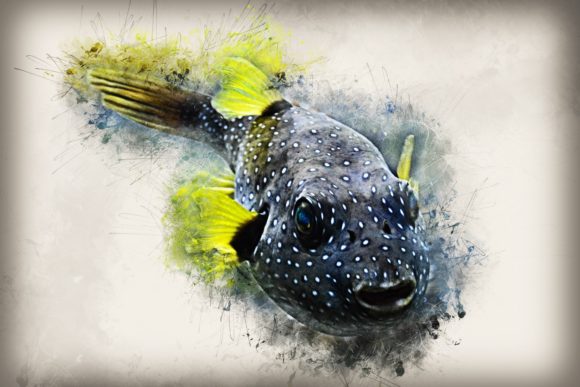Download Fish Printables 7 Formats 300dpi Pack 09 - Pack Collection