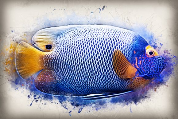 Download Fish Printables 7 Formats 300dpi Pack 07 - Pack Collection