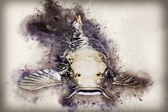Download Fish Printables 7 Formats 300dpi Pack 12 - Pack Collection