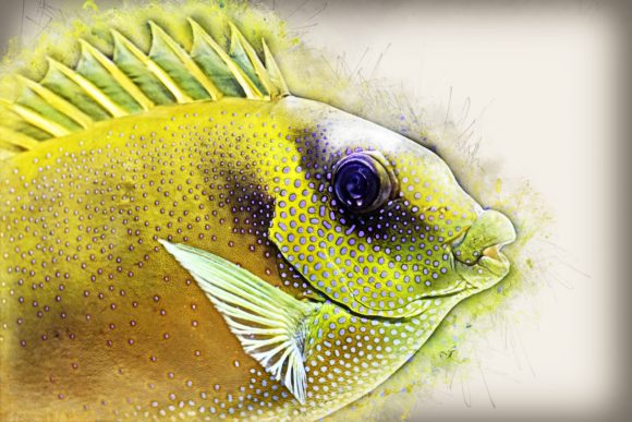 Download Fish Printables 7 Formats 300dpi Pack 06 - Pack Collection