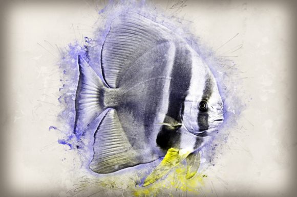 Download Fish Printables 7 Formats 300dpi Pack 03 - Pack Collection