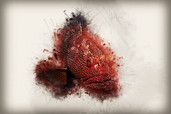Download Fish Printables 7 Formats 300dpi Pack 11 - Pack Collection